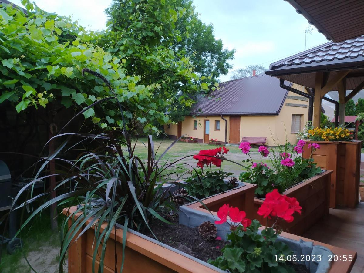 Dolistowka Apartamenty, Pole Namiotowe, Balia Z Jacuzzi, Ogrod Warzywny Dla Gosci, Plac Zabaw Dla Dzieci Goniadz Ngoại thất bức ảnh